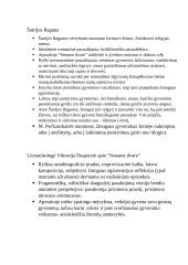 Pasiruošimas rašiniui iš neoromantizmo 2 puslapis