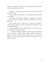 Gyvenamojo namo geoterminis šildymas 9 puslapis