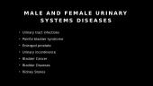 Urine system 5 puslapis