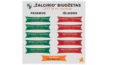 Biudžeto palyginimo grafikai 3 puslapis
