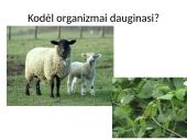 Nelytinis ir lytinis organizmų dauginimasis  2 puslapis