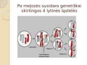 Nelytinis ir lytinis organizmų dauginimasis  11 puslapis