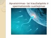 Nelytinis ir lytinis organizmų dauginimasis  13 puslapis