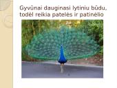 Nelytinis ir lytinis organizmų dauginimasis  17 puslapis