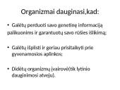 Nelytinis ir lytinis organizmų dauginimasis  3 puslapis
