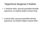 Nelytinis ir lytinis organizmų dauginimasis  4 puslapis