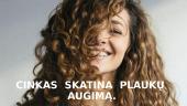 Cinko nauda bei paros norma 17 puslapis