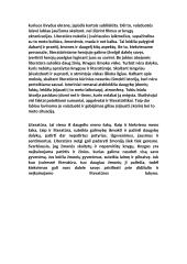 Kokių vertybių moko literatūra? 2 puslapis
