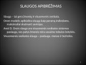 Dorothea Orem savirūpos modelis  4 puslapis