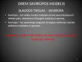 Dorothea Orem savirūpos modelis  6 puslapis