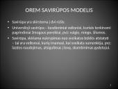 Dorothea Orem savirūpos modelis  7 puslapis