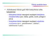 Verslo sistemos tikslų modeliavimas 14 puslapis