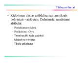 Verslo sistemos tikslų modeliavimas 16 puslapis