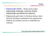 Verslo sistemos tikslų modeliavimas 8 puslapis