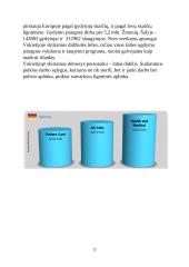 Tarpkultūrinės komunikacijos ypatumai Vokietijoje 11 puslapis