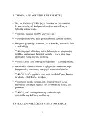 Tarpkultūrinės komunikacijos ypatumai Vokietijoje 5 puslapis