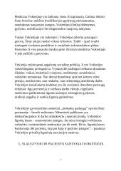 Tarpkultūrinės komunikacijos ypatumai Vokietijoje 6 puslapis