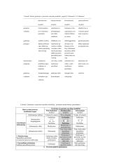Tarpkultūrinės komunikacijos ypatumai Vokietijoje 8 puslapis