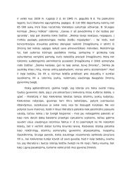 Literatūra – istorinės patirties liudijimas 3 puslapis