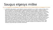 Saugus elgesys per perkūnija, ant vandens ir miške 4 puslapis