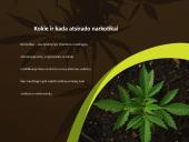 Narkotikai, narkotikų rūšys ir narkomanija 2 puslapis