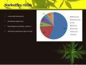 Narkotikai, narkotikų rūšys ir narkomanija 3 puslapis
