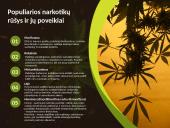 Narkotikai, narkotikų rūšys ir narkomanija 4 puslapis