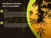 Narkotikai, narkotikų rūšys ir narkomanija 5 puslapis