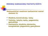 Medinių karkasinių pastatų statyba  2 puslapis
