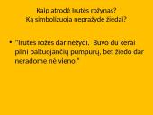 Rožių simbolinė reikšmė Šatrijos raganos “Sename dvare” 5 puslapis