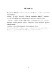 Motyvavimo būdai ir priemonės 14 puslapis