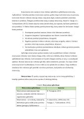 Motyvavimo būdai ir priemonės 6 puslapis