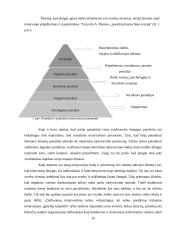 Motyvavimo būdai ir priemonės 10 puslapis