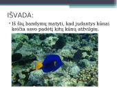 Mechaninis, tiesiaeigis ir kreivaeigis judėjimas 9 puslapis