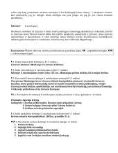 Lietuvos visuomenės kaita XIII–XV a. 3 puslapis