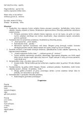 Amžinųjų vertybių poetizavimas (Marcelijaus Martinaičio poezija) 2 puslapis