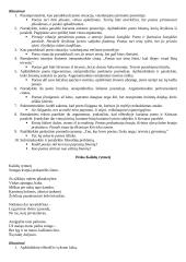 Amžinųjų vertybių poetizavimas (Marcelijaus Martinaičio poezija) 4 puslapis