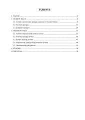 Variklio skaitmeninės apsaugos nuo netipinių darbo režimų tyrimas  4 puslapis