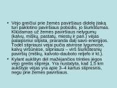 Viskas apie vėją 9 puslapis