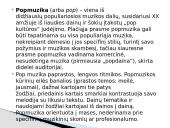 Popmuzikos žanras 2 puslapis
