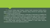 Lietuvos Respublikos Lietuvos Banko įstatymas 16 puslapis