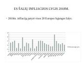 ES infliacijos analizė 2016-2020 m. 13 puslapis