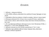 ES infliacijos analizė 2016-2020 m. 20 puslapis