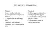 ES infliacijos analizė 2016-2020 m. 4 puslapis