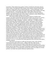 Istorinė patirtis lietuvių literatūroje 2 puslapis