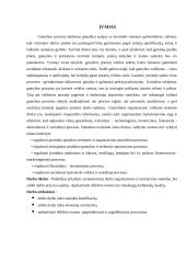 Darbo normavimas ir organizavimas gamybinėje įmonėje 4 puslapis