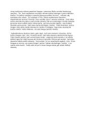 Dėl ko kenčia žmogaus siela? (Alfonsas Nyka – Niliūnas , Vaižgantas) 2 puslapis