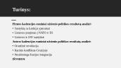 Lietuvos užsienio politika V. Adamkaus prezidentavimo metu  2 puslapis