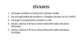 Lietuvos užsienio politika V. Adamkaus prezidentavimo metu  11 puslapis