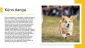 Pasirinkto gyvūno aprašymas: šuo 5 puslapis